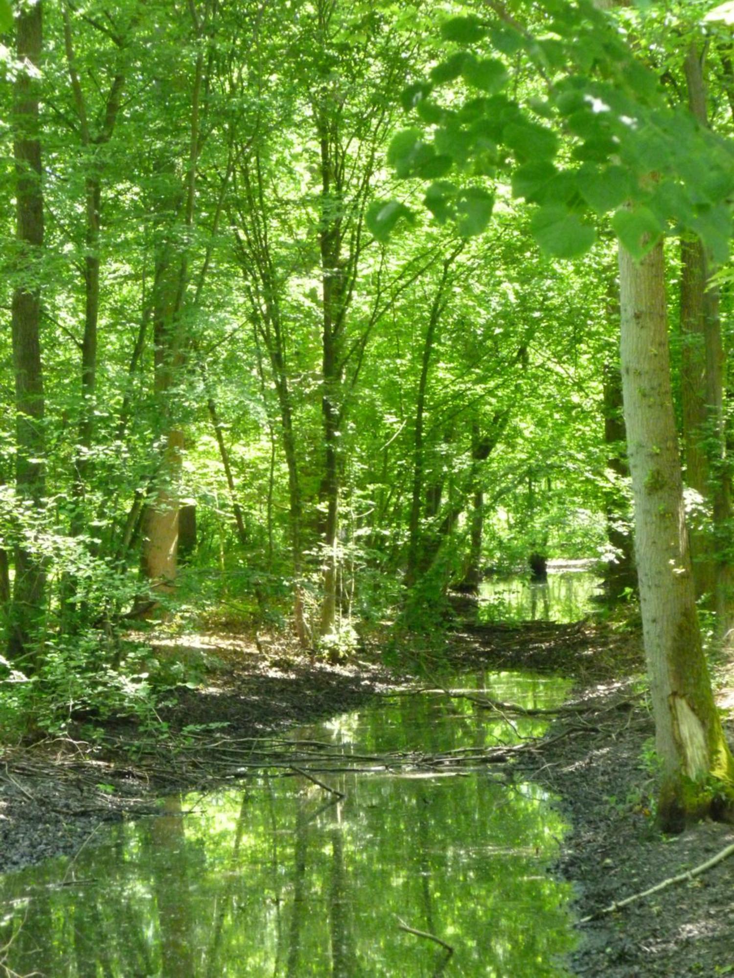 Le Chalet De La Longere Beuvry-la-Foret Zewnętrze zdjęcie